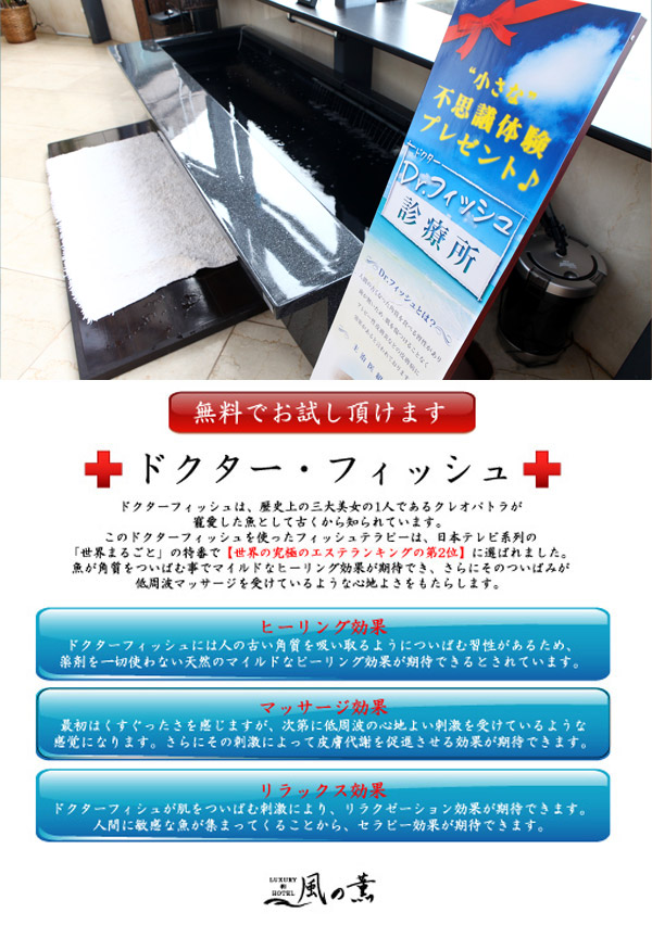 "小さな"不思議体験プレゼント♪ Dr.フィッシュ診療所