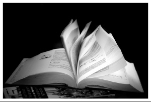 雨 × 読書 × 風の薫 =