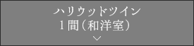 最上階ハリウッドツイン1間（和洋室）