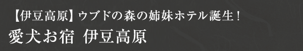 愛犬お宿 伊豆高原